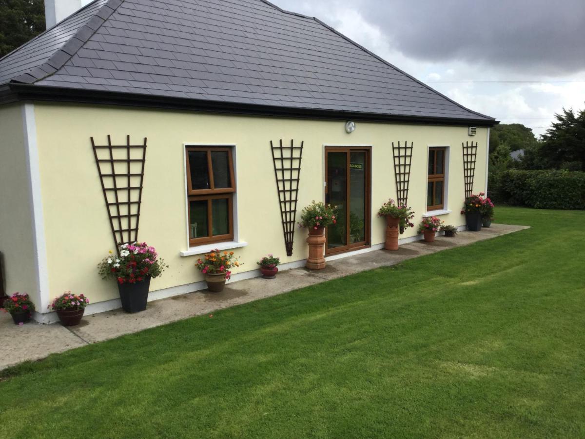 Rose Cottage Westport Buitenkant foto